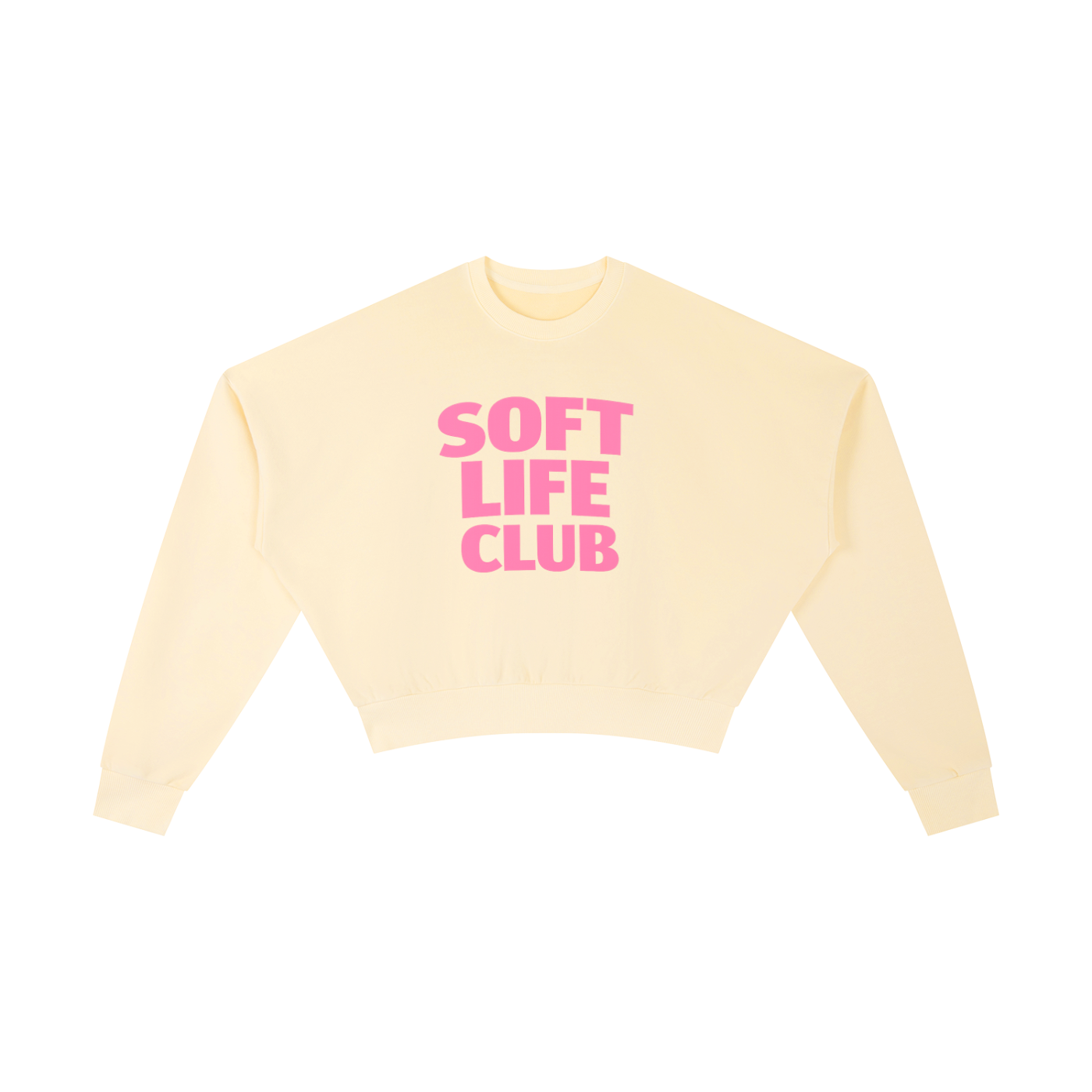 Vintage Washed Cropped Sweatshirt