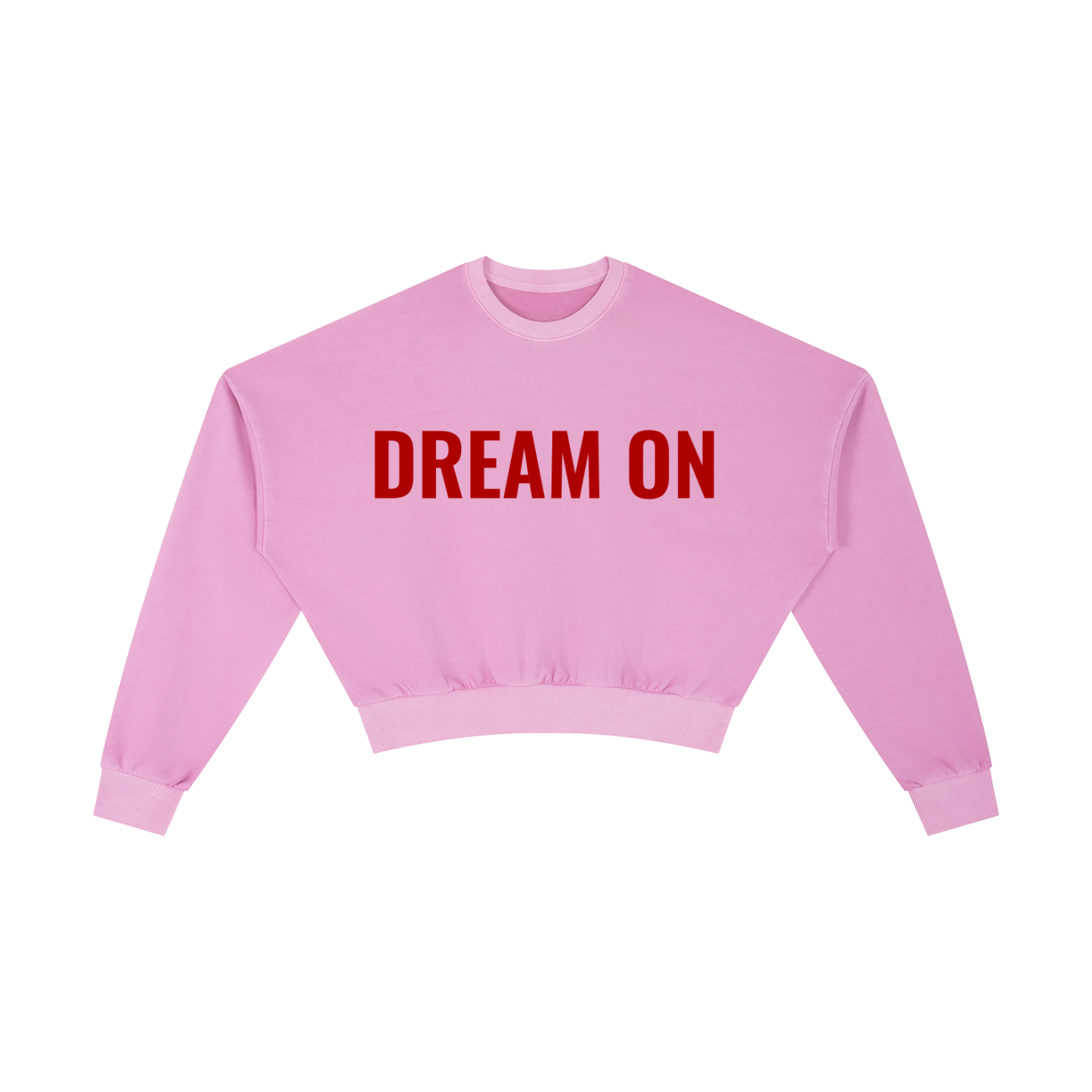 Dream On Vintage Washed Sweatshirt